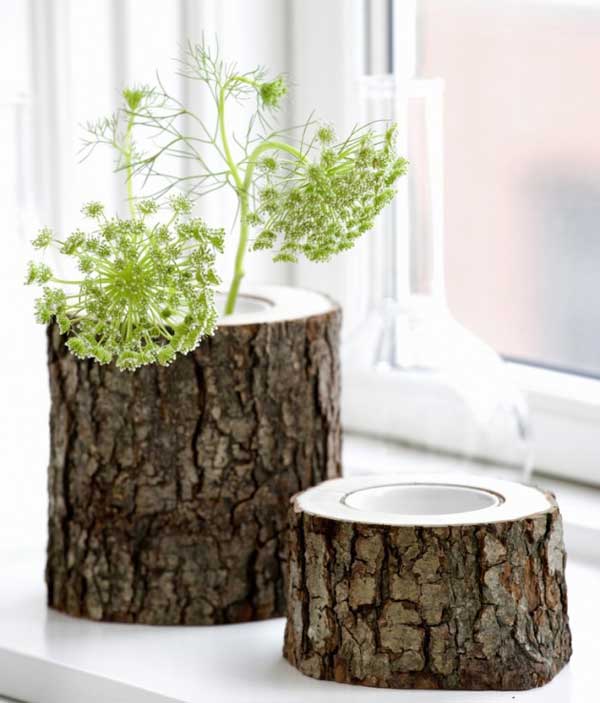 vase-of-log