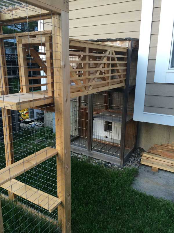 cat-walkway-and-house-3