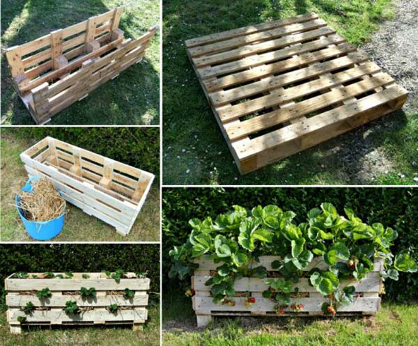 Strawberry_Pallet_Planter