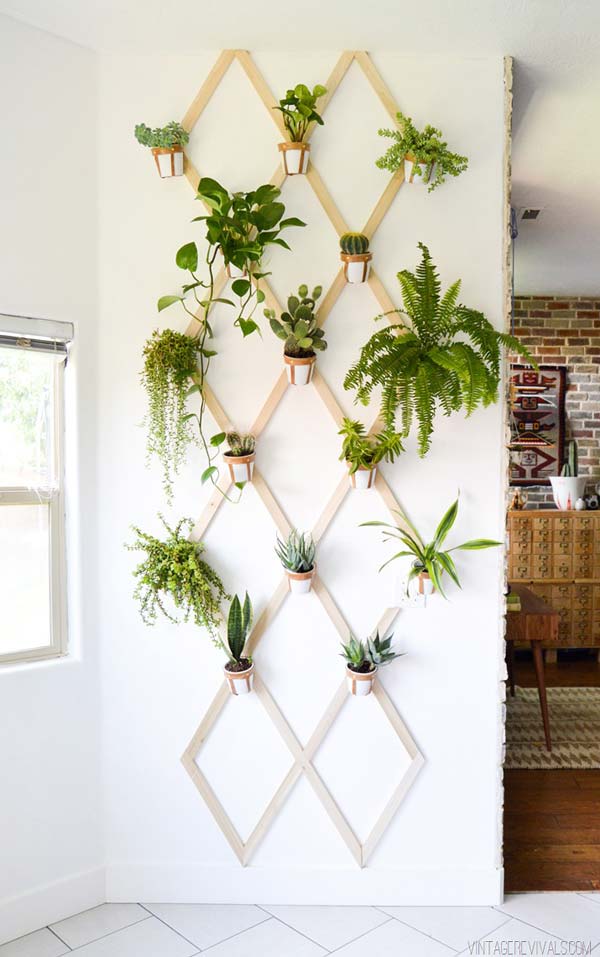 indoor-garden-projects-1