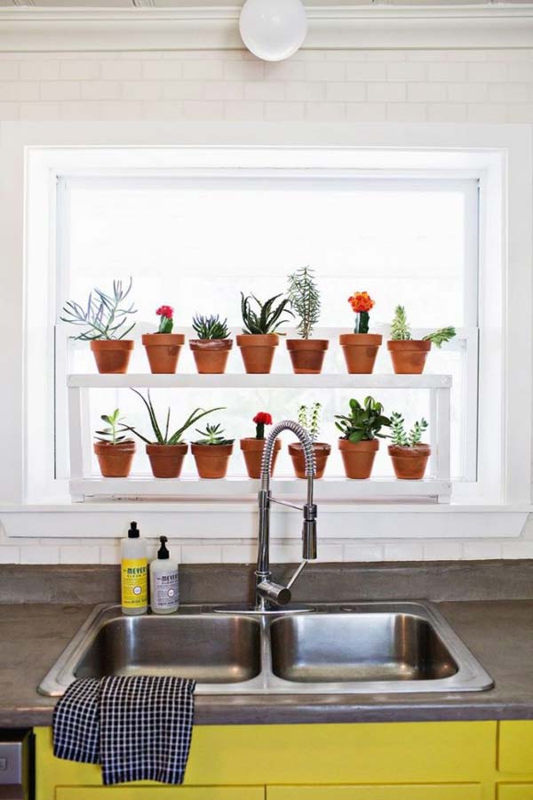 indoor-garden-projects-17