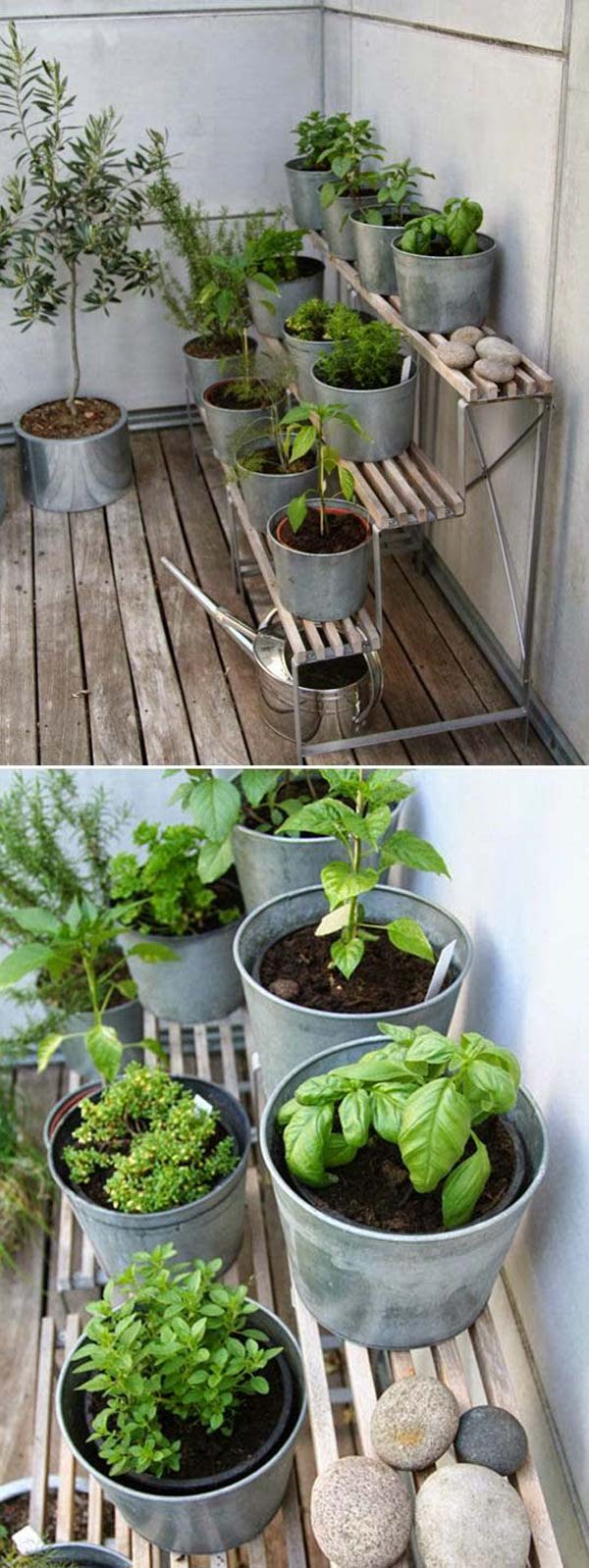 indoor-garden-projects-18