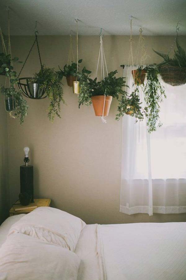 indoor-garden-projects-19