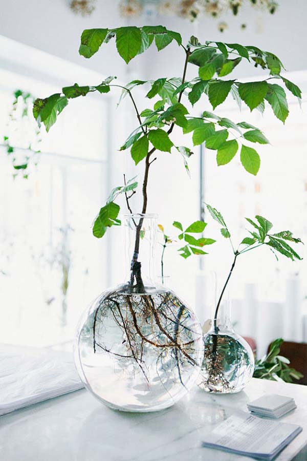 indoor-garden-projects-2