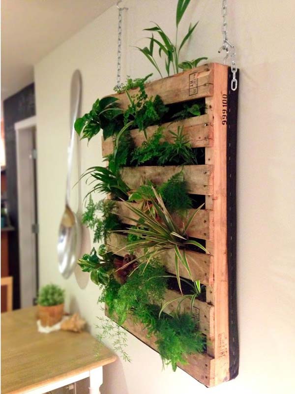 indoor-garden-projects-22