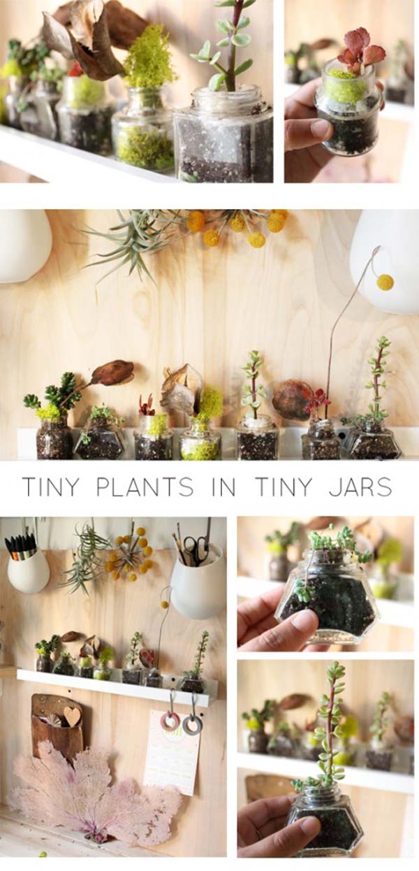 indoor-garden-projects-23