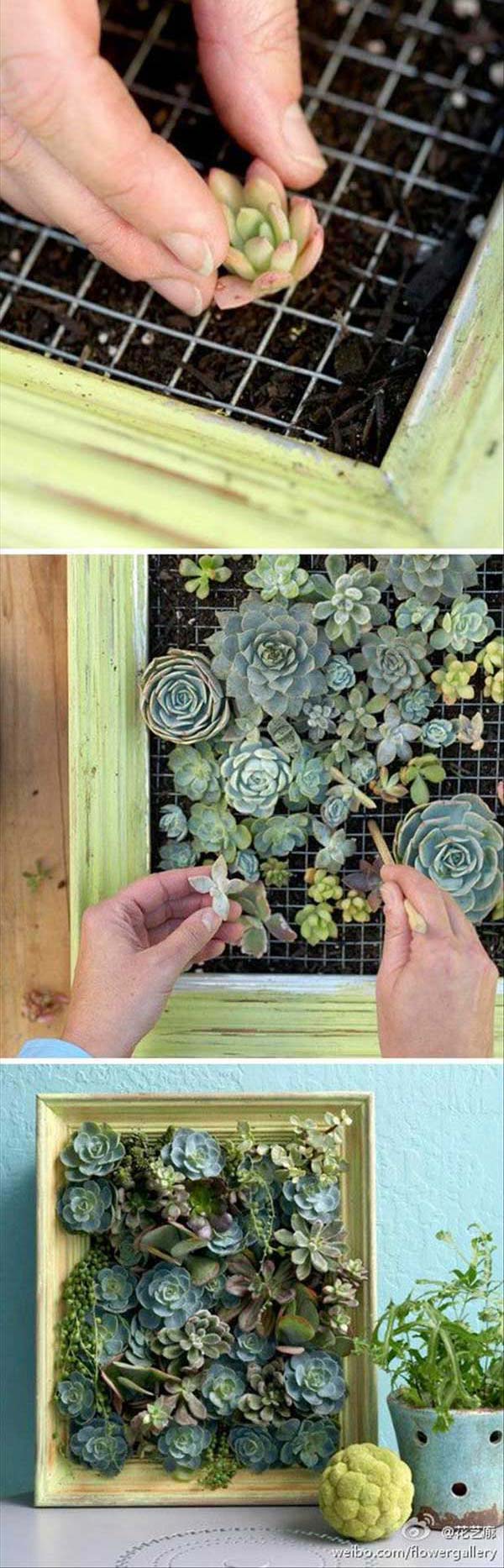 indoor-garden-projects-5