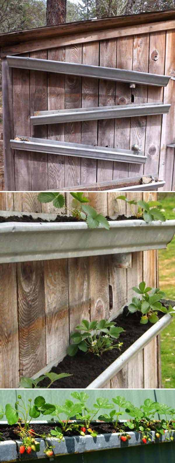 rain_gutters_strawberry_garden