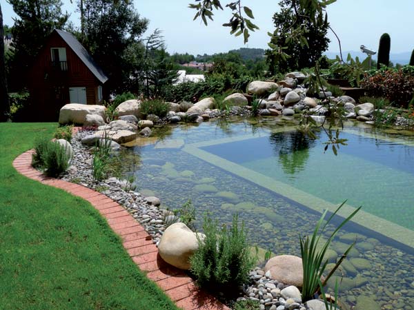 backyard-natural-swimming-pool-14