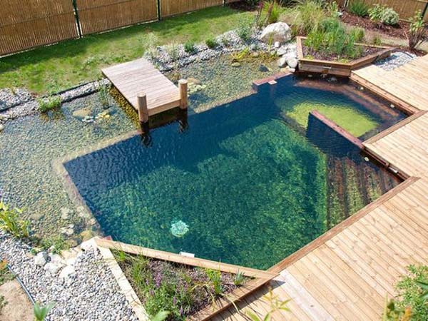 backyard-natural-swimming-pool-16