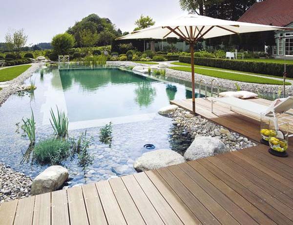 backyard-natural-swimming-pool-20