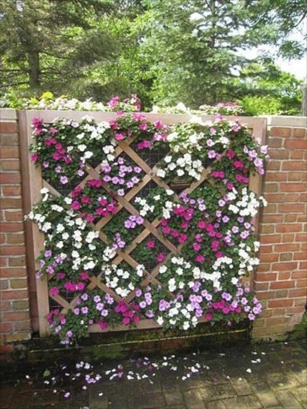 trellis-and-lattice-around-your-home-01