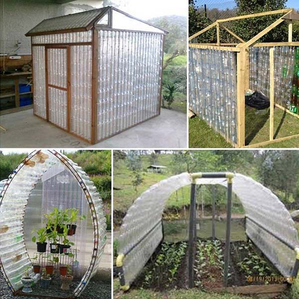 07-make-a-plastic-bottle-greenhouse