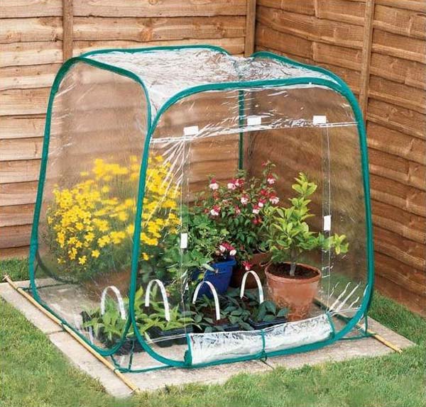 11-plastic-tent-greenhouse