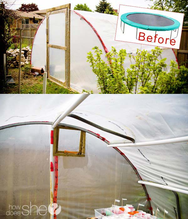 14-create-a-greenhouse-out-of-a-trampoline